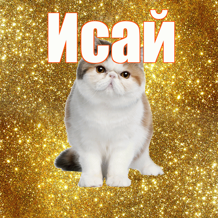 Исай! Красивого тебе утра! Красивая открытка Исаю!