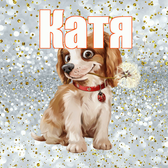 Катя! Красивого тебе утра! Красивая открытка Кате!