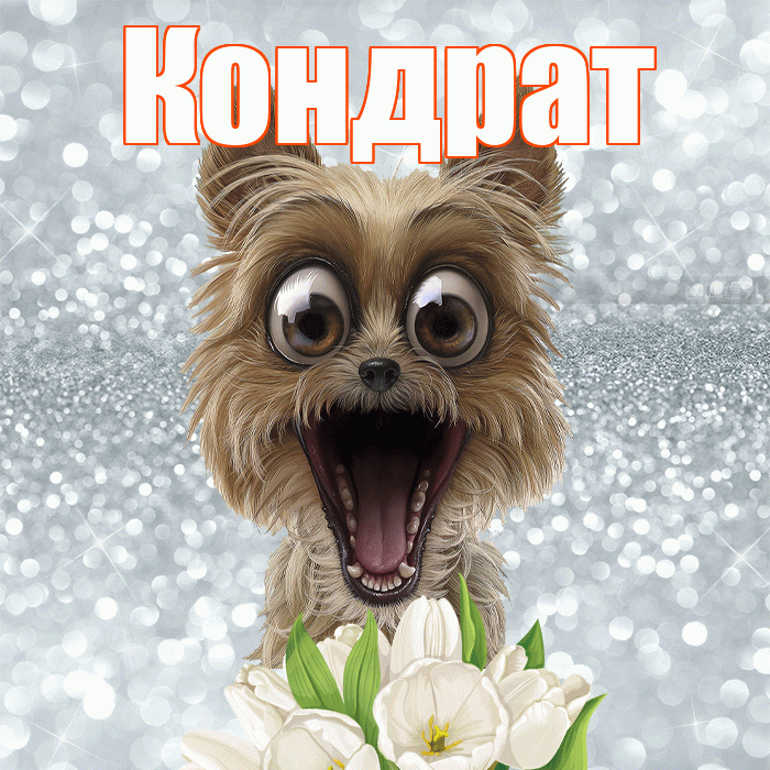 Кондрат! Красивого тебе утра! Красивая открытка Кондрату!