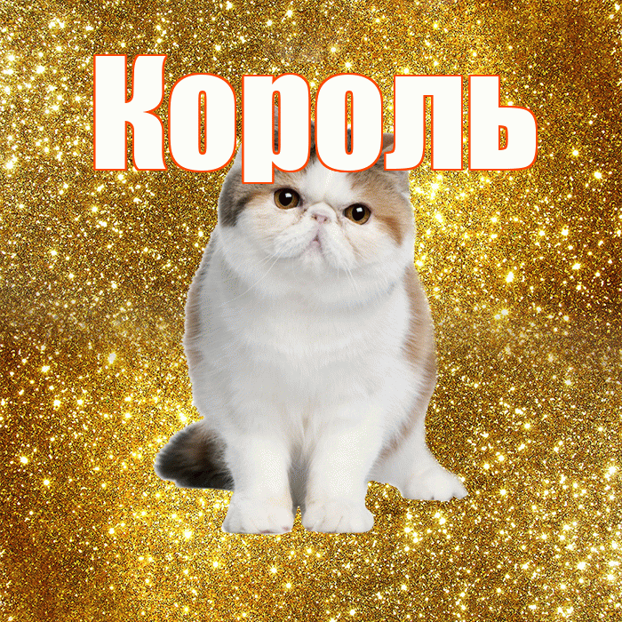 Король! Красивого тебе утра! Красивая открытка Королю!