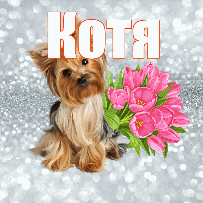 Котя! Красивого тебе утра! Красивая открытка Коте!