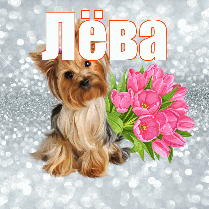 Лёва! Красивого тебе утра! Красивая открытка !
