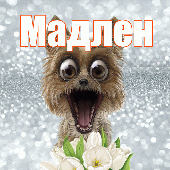 Мадлен! Красивого тебе утра! Красивая открытка Мадлене!