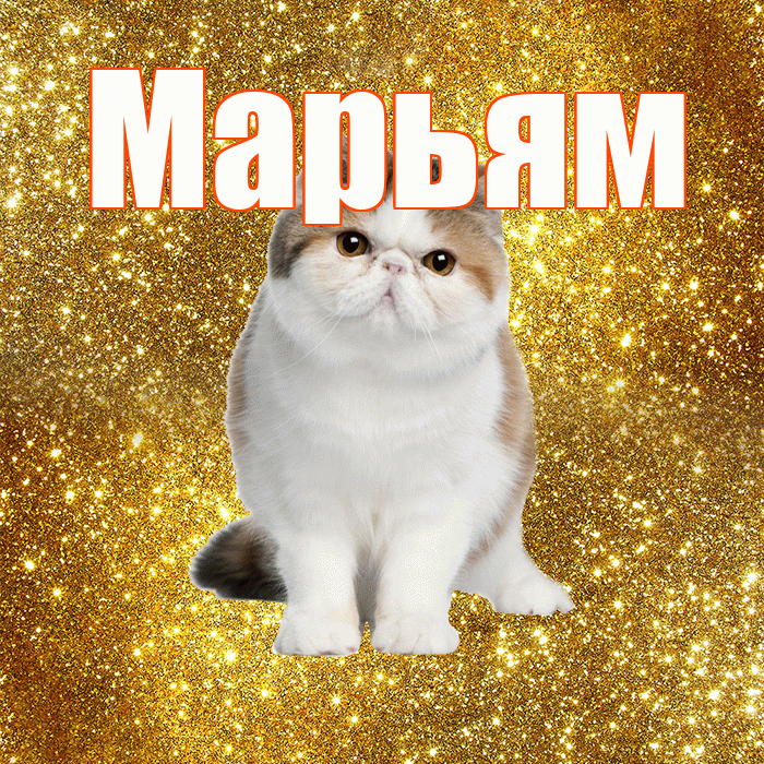 Марьям! Красивого тебе утра! Красивая открытка Марьям!