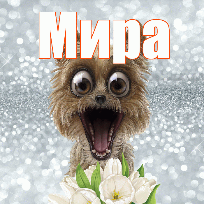 Мира! Красивого тебе утра! Красивая открытка Миру!