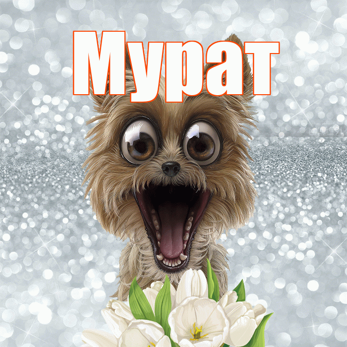 Мурат! Красивого тебе утра! Красивая открытка Мурату!