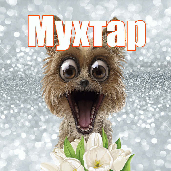 Мухтар! Красивого тебе утра! Красивая открытка Мухтару!