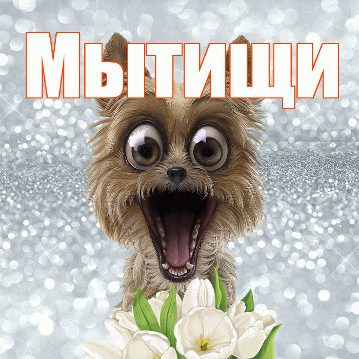 Мытищи! Красивого тебе утра! Красивая открытка Мытищи!