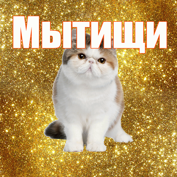 Мытищи! Красивого тебе утра! Красивая открытка Мытищи!