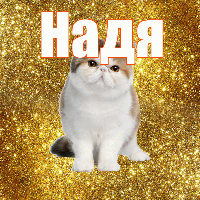 Надя! Красивого тебе утра! Красивая открытка Наде!