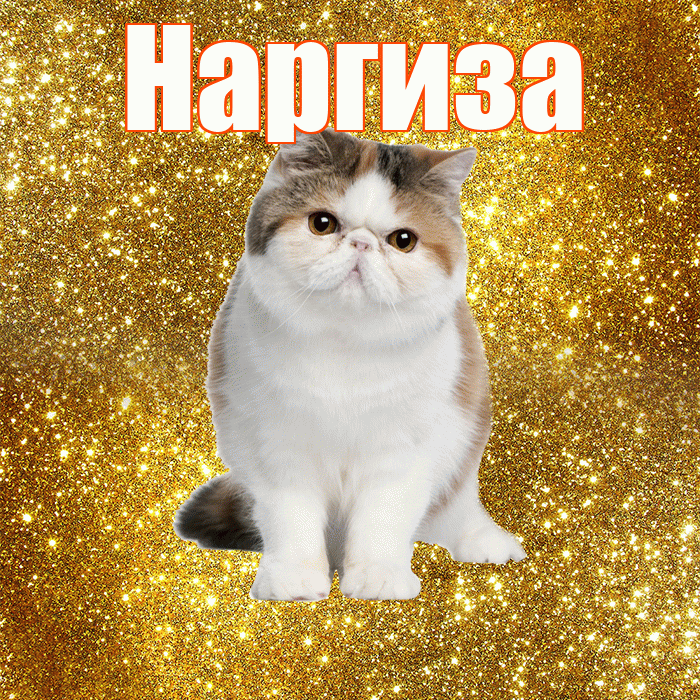 Наргиза! Красивого тебе утра! Красивая открытка Наргизе!