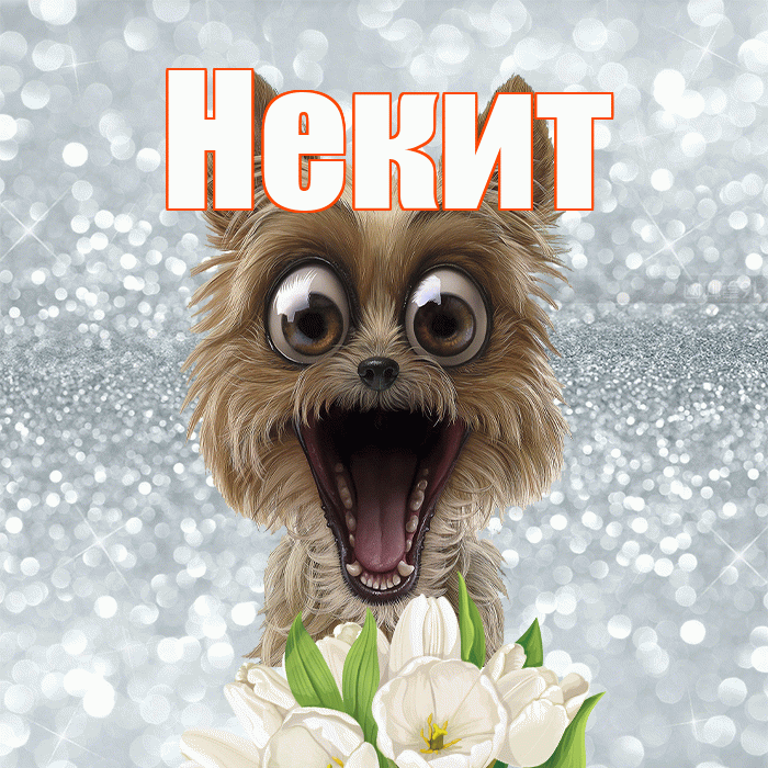 Некит! Красивого тебе утра! Красивая открытка !