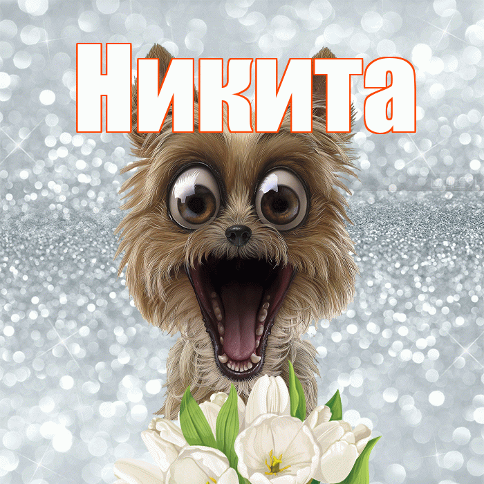 Никита! Красивого тебе утра! Красивая открытка Никите!