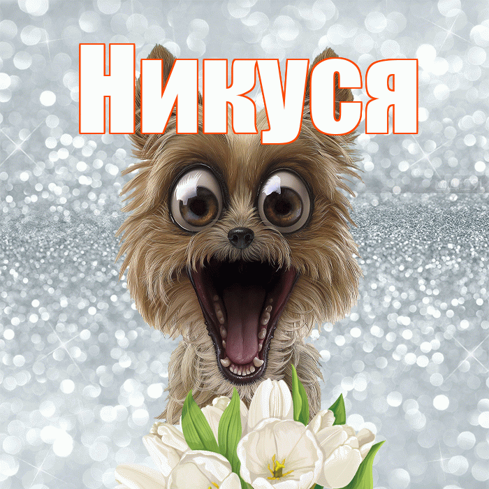 Никуся! Красивого тебе утра! Красивая открытка !