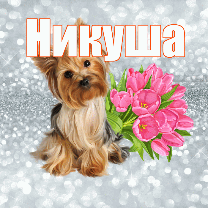 Никуша! Красивого тебе утра! Красивая открытка !