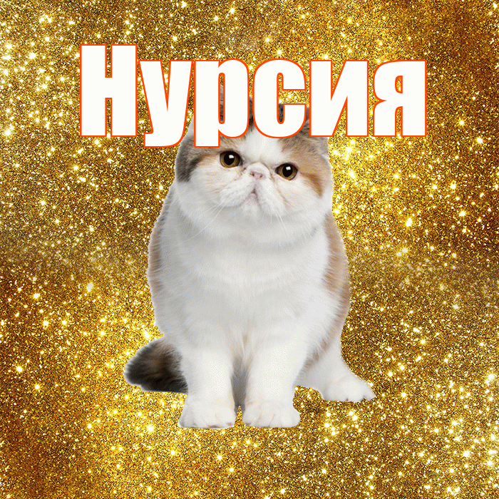 Нурсия! Красивого тебе утра! Красивая открытка Нурсие!