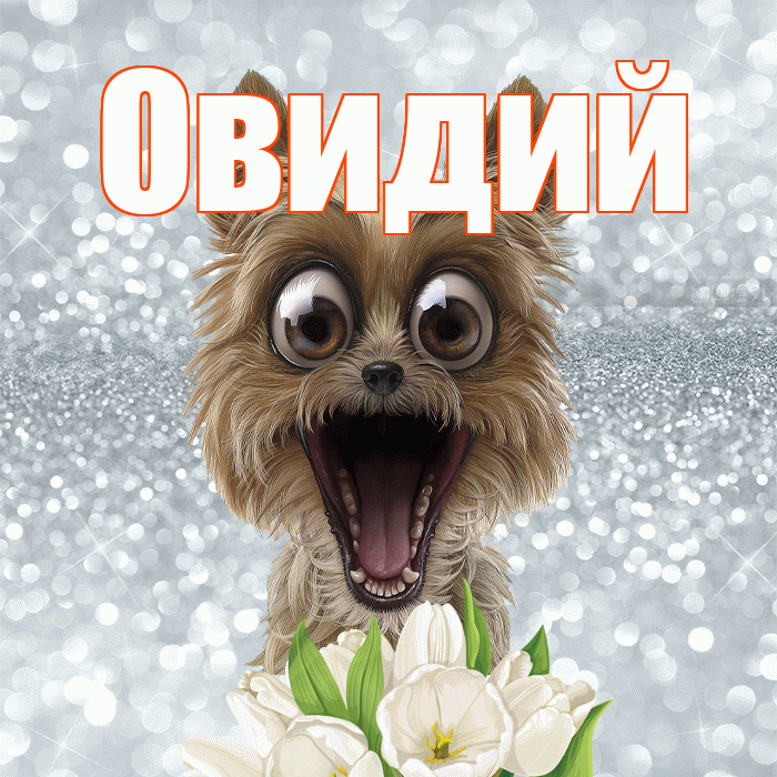 Овидий! Красивого тебе утра! Красивая открытка Овидию!
