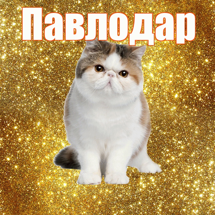 Павлодар! Красивого тебе утра! Красивая открытка Павлодару!