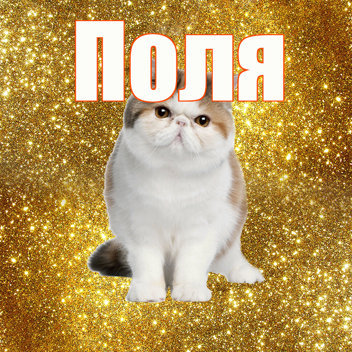 Поля! Красивого тебе утра! Красивая открытка !