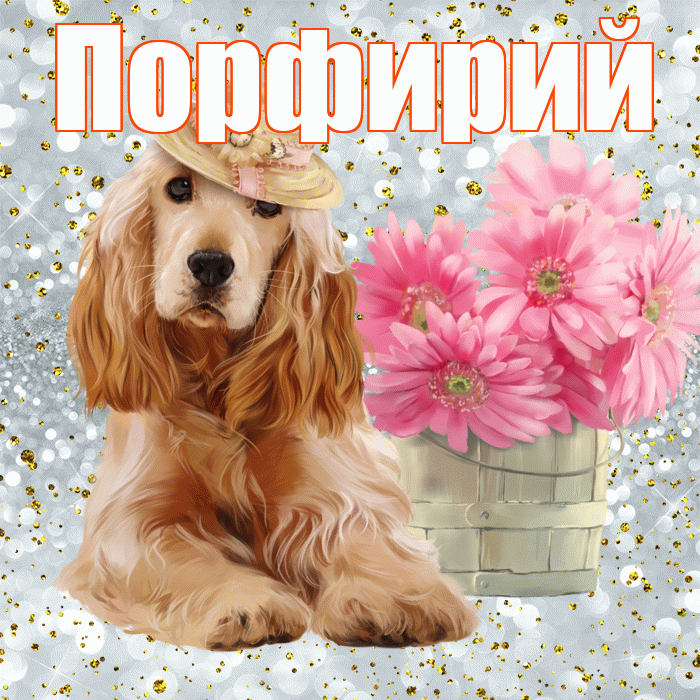 Порфирий! Красивого тебе утра! Красивая открытка Порфирию!