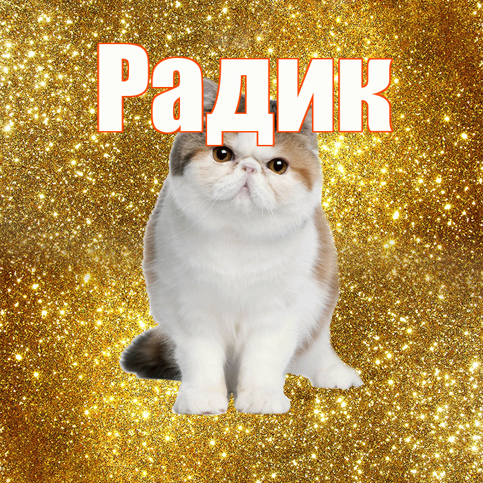 Радик! Красивого тебе утра! Красивая открытка !