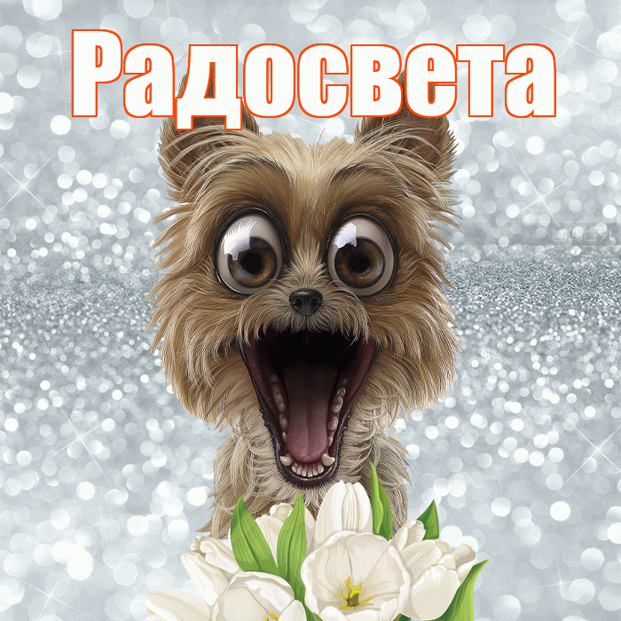 Радосвета! Красивого тебе утра! Красивая открытка Радосвету!