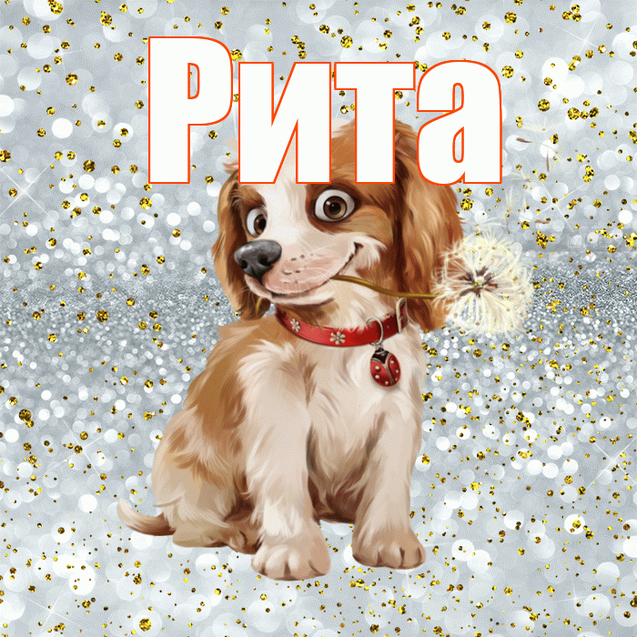 Рита! Красивого тебе утра! Красивая открытка Рите!