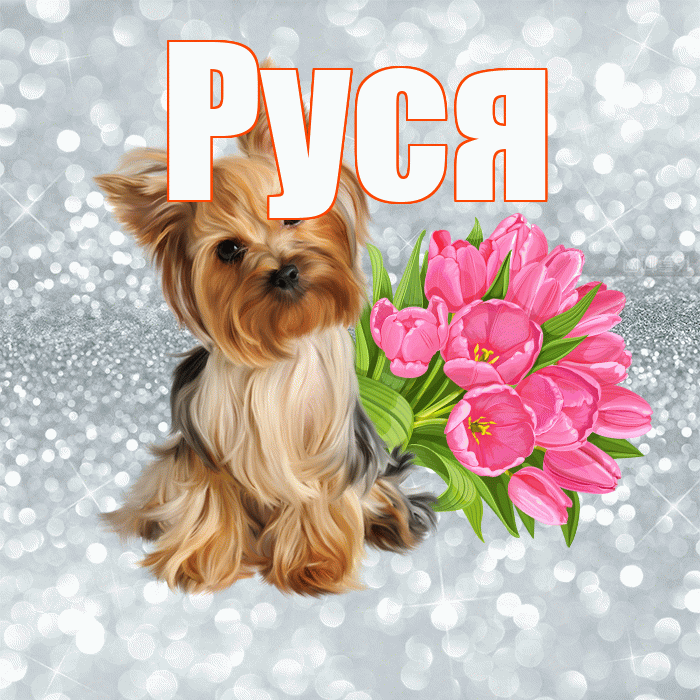 Руся! Красивого тебе утра! Красивая открытка !