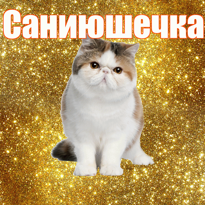 Саниюшечка! Красивого тебе утра! Красивая открытка !