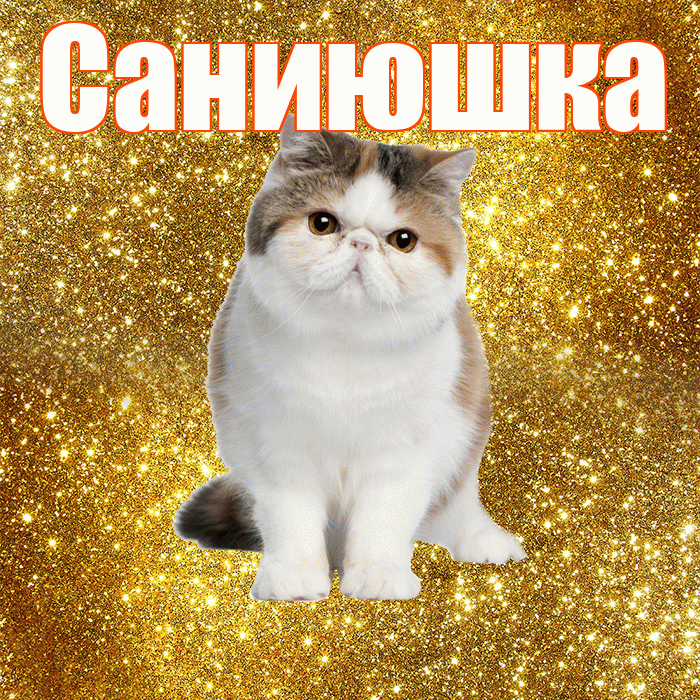Саниюшка! Красивого тебе утра! Красивая открытка !