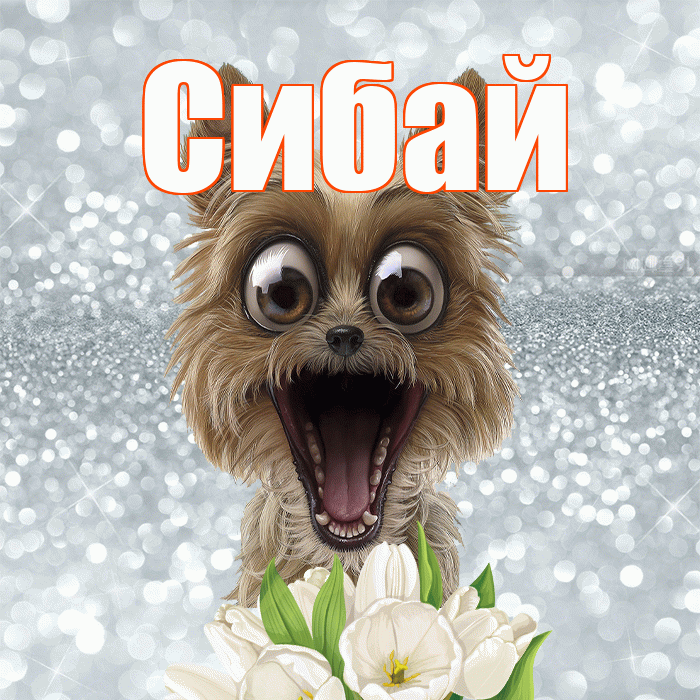 Сибай! Красивого тебе утра! Красивая открытка Сибаю!