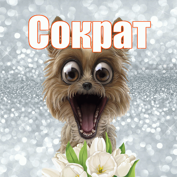 Сократ! Красивого тебе утра! Красивая открытка Сократу!