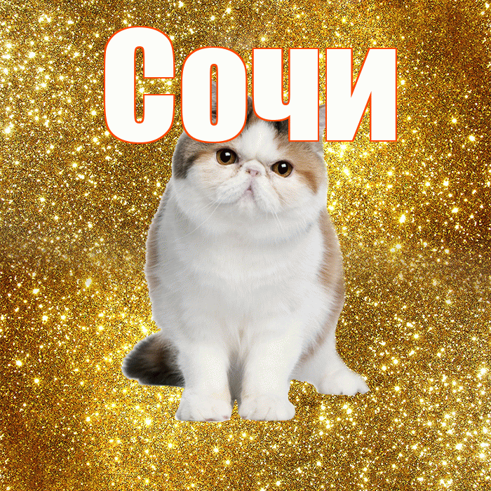 Сочи! Красивого тебе утра! Красивая открытка Сочи!