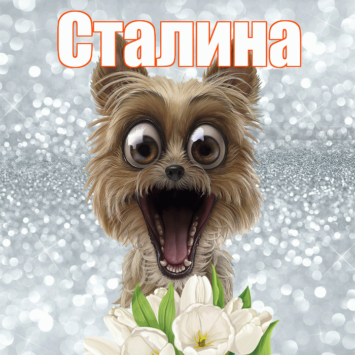 Сталина! Красивого тебе утра! Красивая открытка Сталине!