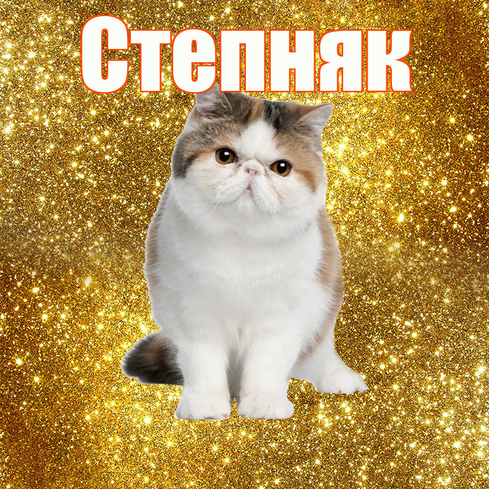 Степняк! Красивого тебе утра! Красивая открытка Степняку!