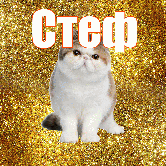 Стеф! Красивого тебе утра! Красивая открытка !