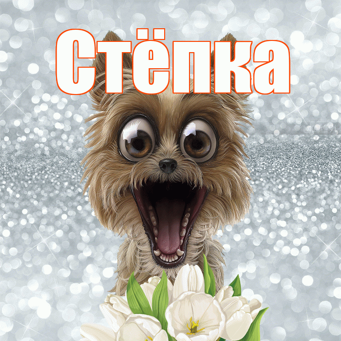 Стёпка! Красивого тебе утра! Красивая открытка !