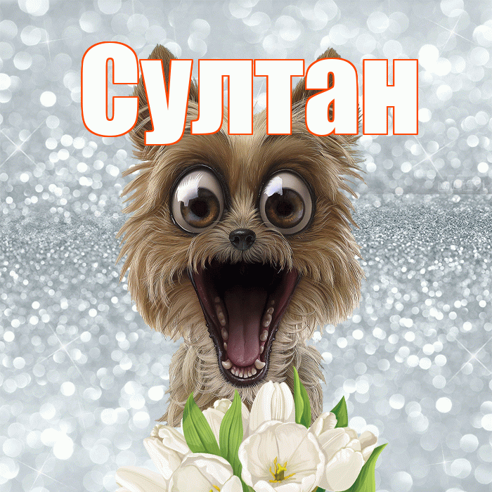 Султан! Красивого тебе утра! Красивая открытка Султану!