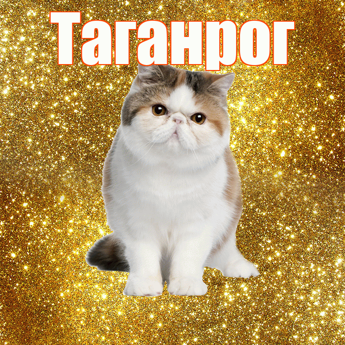 Таганрог! Красивого тебе утра! Красивая открытка Таганрогу!