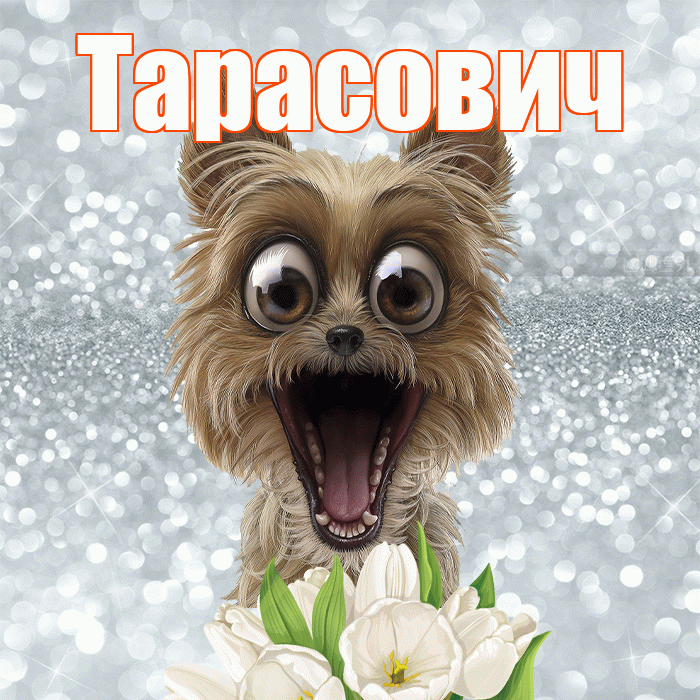 Тарасович! Красивого тебе утра! Красивая открытка Тарасовичу!