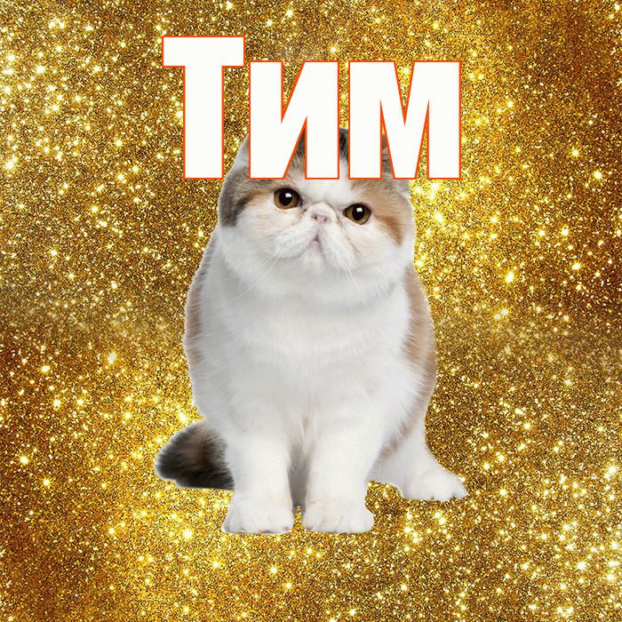 Тим! Красивого тебе утра! Красивая открытка !