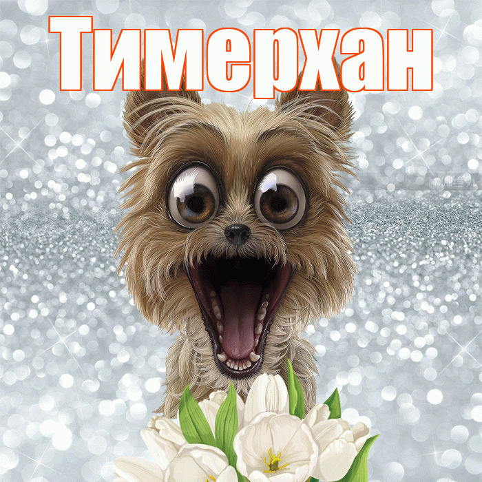 Тимерхан! Красивого тебе утра! Красивая открытка Тимерхану!