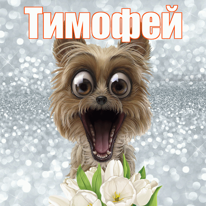 Тимофей! Красивого тебе утра! Красивая открытка Тимофею!