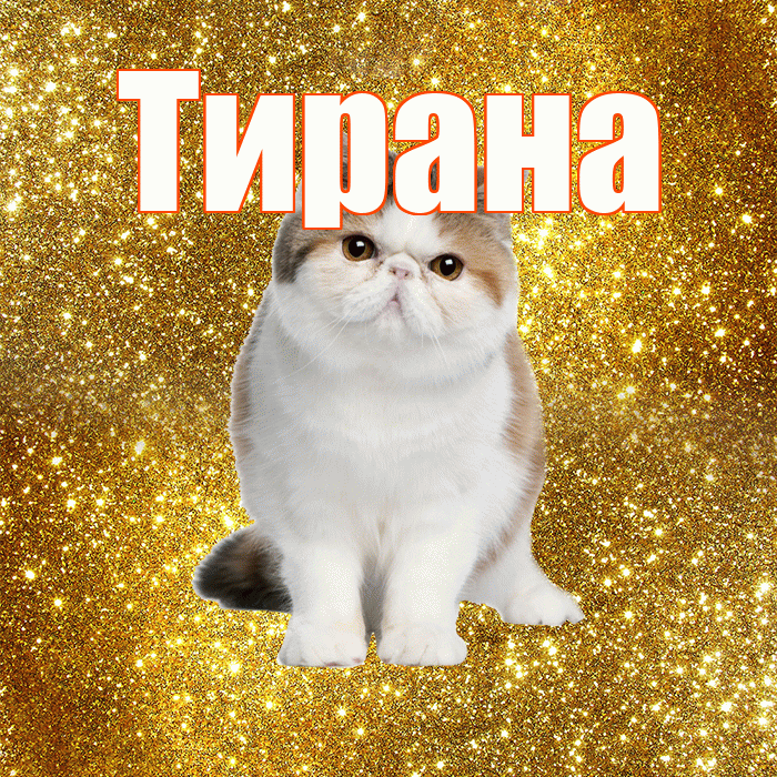 Тирана! Красивого тебе утра! Красивая открытка Тиране!