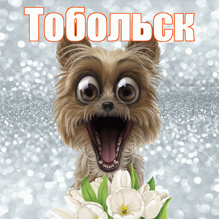Тобольск! Красивого тебе утра! Красивая открытка Тобольску!