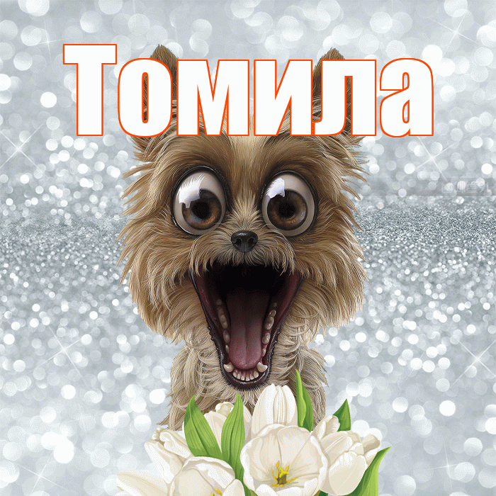 Томила! Красивого тебе утра! Красивая открытка Томиле!