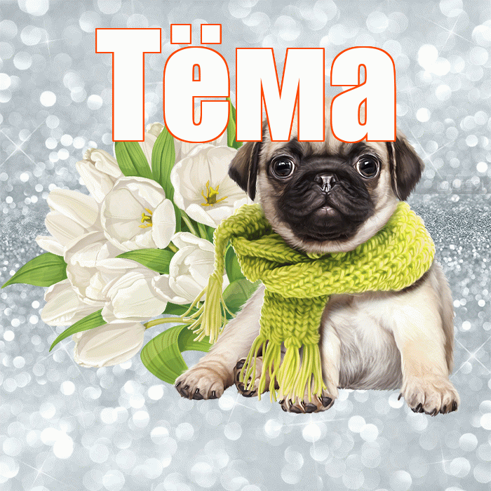 Тёма! Красивого тебе утра! Красивая открытка !