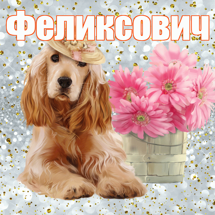 Феликсович! Красивого тебе утра! Красивая открытка Феликсовичу!