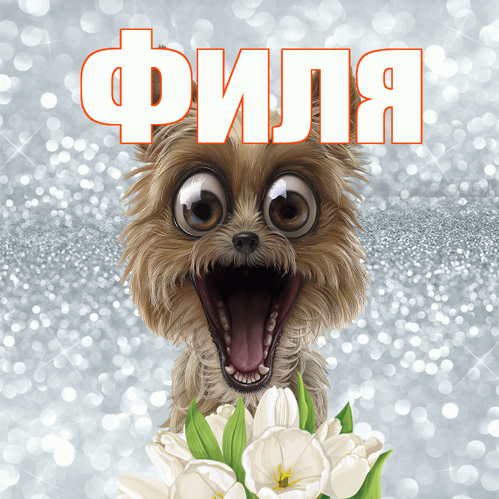Филя! Красивого тебе утра! Красивая открытка Филе!