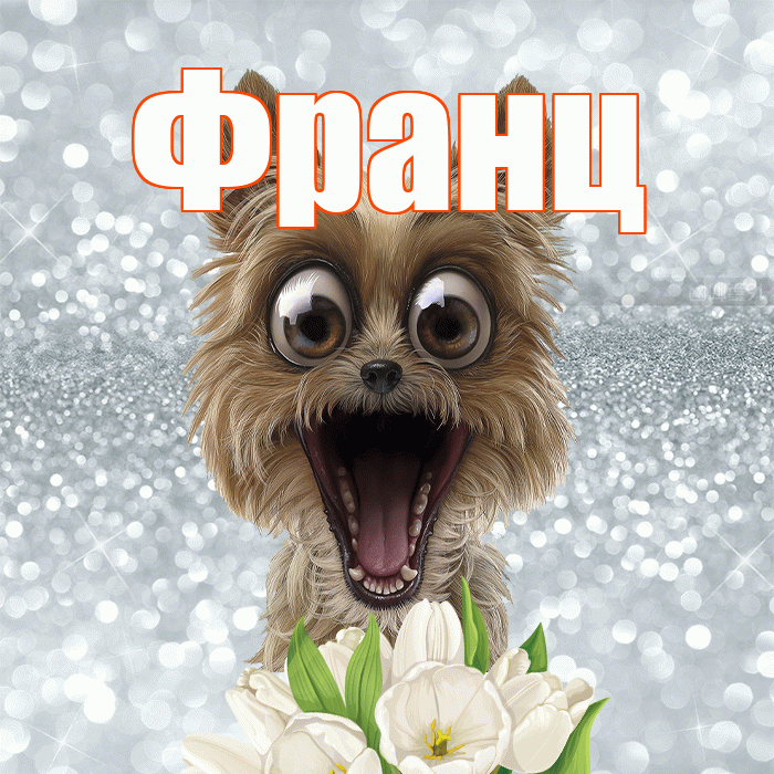 Франц! Красивого тебе утра! Красивая открытка Францу!